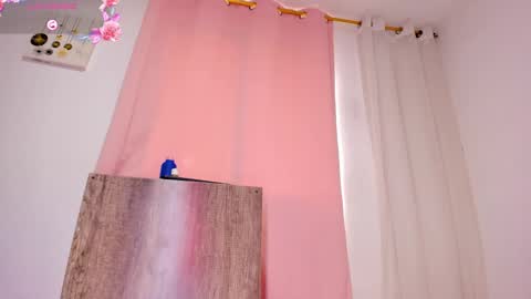 April  online show from February 2025 03:42:02 PM