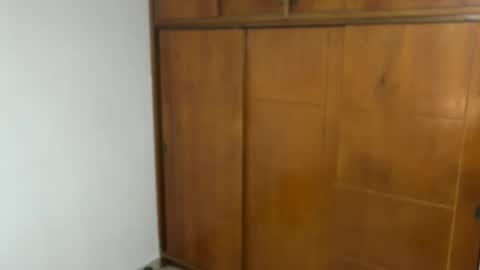 Snapshot of aquilesmade chatting on December 2024 11:29:02 PM Aquilesmade online show from December 2024 11:29:02 PM