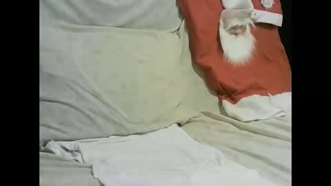 arabtrans2025 online show from January 2025 07:27:01 PM