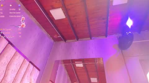 ARI  online show from February 2025 05:54:02 PM