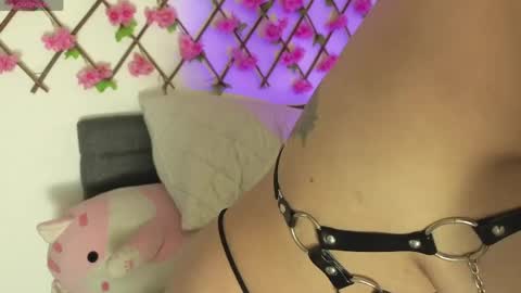 aria_silk online show from April 2026 06:31:02 PM