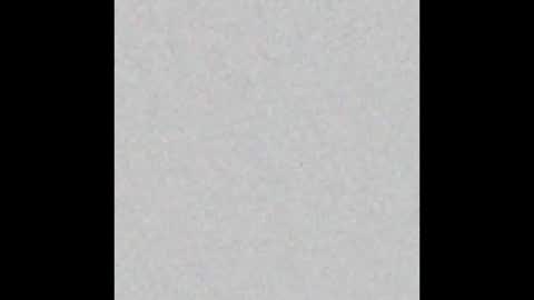 Arianna Collins online show from September 2025 11:48:01 AM