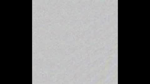 Arianna Collins online show from October 2025 11:51:02 AM