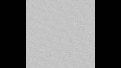 Arianna Collins online show from February 2026 11:53:02 AM