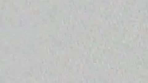 Arianna Collins online show from April 2026 11:19:01 AM