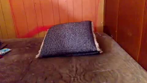 ariellejade06 online show from February 2026 06:26:02 PM