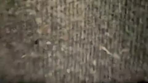 airskiii online show from January 2025 04:26:01 AM