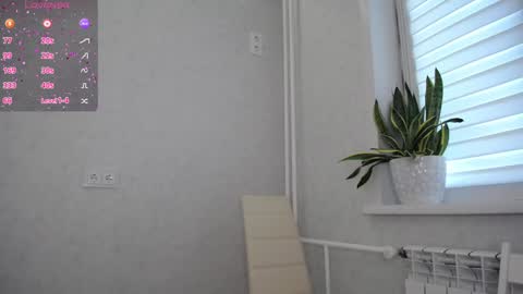 arinamir online show from September 2025 01:30:01 AM