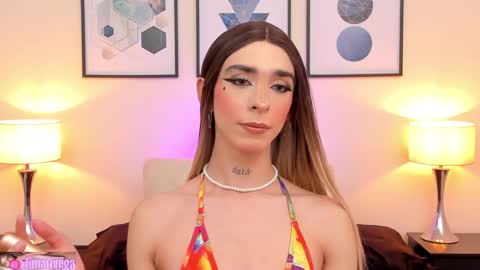 Snapshot of arivega chatting on January 2025 04:03:01 AM Nice to meet you thumb up me please its important I LOOK MY BIO DOWN online show from January 2025 04:03:01 AM
