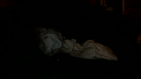 Snapshot of arley1966 chatting on November 2025 02:43:02 AM arley1966 online show from November 2025 02:43:02 AM