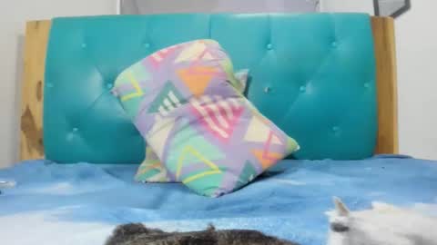 armanidark online show from September 2025 02:11:01 AM