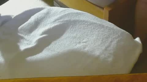 Snapshot of arnie12 chatting on December 2024 08:47:02 PM Arnie online show from December 2024 08:47:02 PM