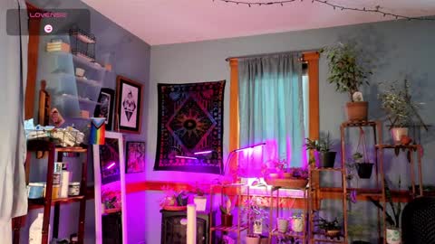 Artie Paints online show from December 2024 09:00:02 PM