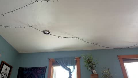 Artie Paints online show from January 2025 04:27:01 PM