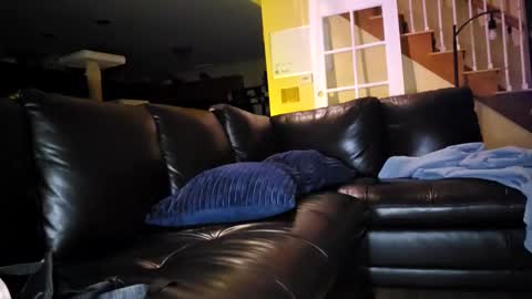 Artie Paints online show from January 2025 03:42:01 AM