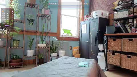 Artie Paints online show from February 2025 05:30:02 PM