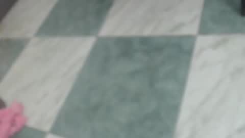 ashleey_thompson online show from February 2025 11:04:01 PM