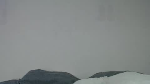 Anite         online show from December 2024 02:02:02 AM