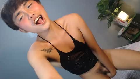 Snapshot of asian_reyshell chatting on February 2026 02:34:01 PM Reyshell online show from February 2026 02:34:01 PM