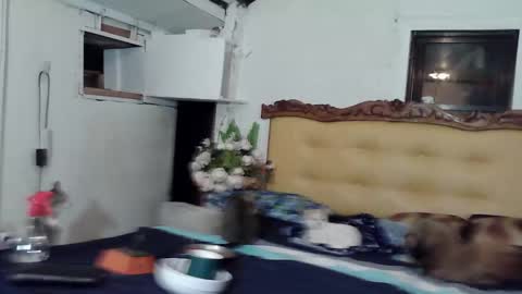 Snapshot of asianladyboy888 chatting on February 2026 04:05:02 PM asianladyboy888 online show from February 2026 04:05:02 PM