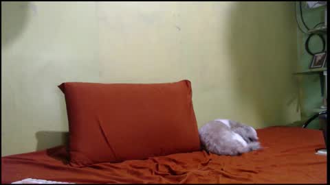 Mhay online show from September 2025 05:55:02 AM