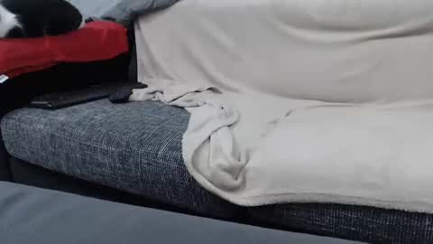 MARCO online show from January 2025 06:59:01 PM