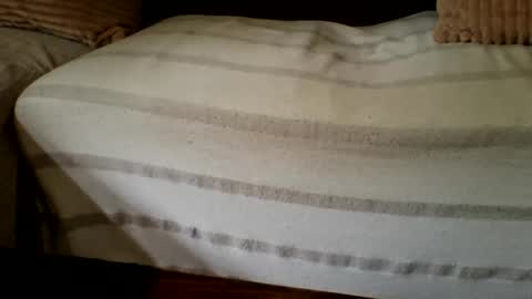 The Atypical Fit Cat online show from April 2026 11:03:02 PM