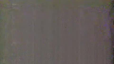 Aurora and Orion online show from January 2025 03:33:01 AM