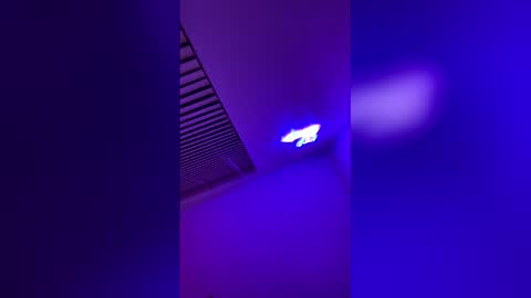 Aurora online show from December 2025 03:16:02 AM