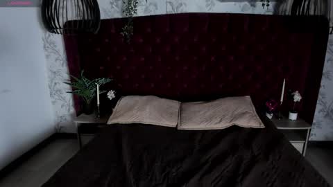 Austin  online show from March 2026 08:37:01 PM