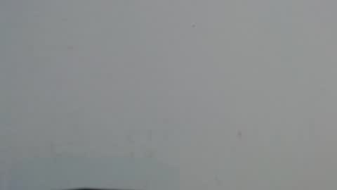 avanahomi online show from October 2025 11:21:01 AM