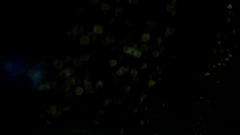 Snapshot of axell_cross2 chatting on July 2026 04:38:01 AM Axell Cross2 online show from July 2026 04:38:01 AM
