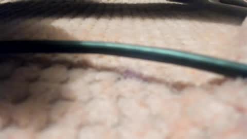 Axell online show from March 2026 09:09:02 AM