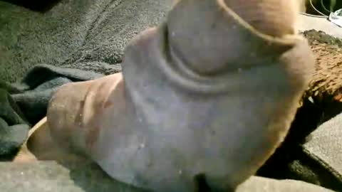 Snapshot of axelle_garcia chatting on November 2025 10:21:02 PM Axelle online show from November 2025 10:21:02 PM