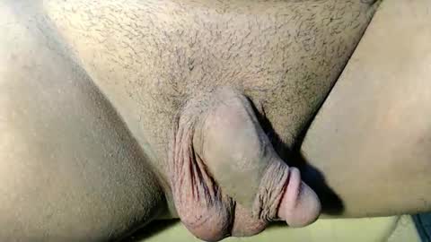 ayumi online show from April 2026 05:39:02 PM