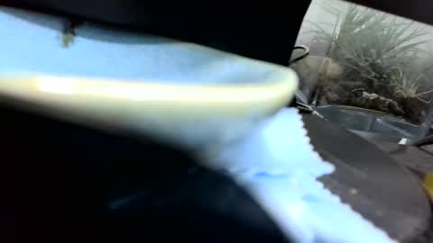 b1234567893 online show from April 2026 01:25:02 AM