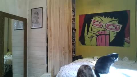 Snapshot of babydemon6 chatting on May 2026 01:38:02 PM babydemon6 online show from May 2026 01:38:02 PM
