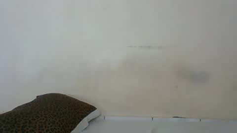 Snapshot of babymolly2 chatting on February 2026 05:59:02 AM Rossy Kwekwe online show from February 2026 05:59:02 AM