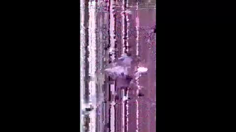 bad_boy2299 online show from June 2026 05:26:01 PM
