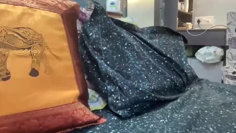 badsins13 online show from November 2025 04:11:02 AM