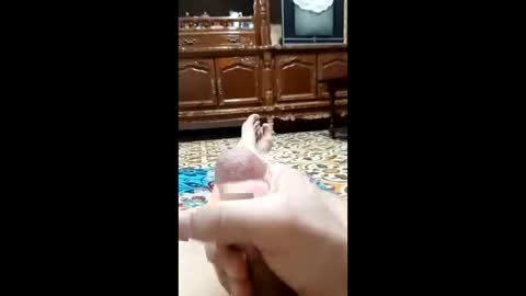 bahaa5555 online show from February 2026 04:18:02 AM