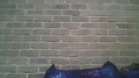 Chaterlain online show from February 2025 01:25:01 PM