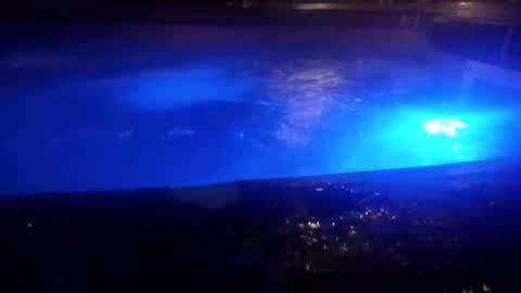 Snapshot of bakerbeachismygig chatting on December 2024 04:45:02 AM bakerbeachismygig online show from December 2024 04:45:02 AM