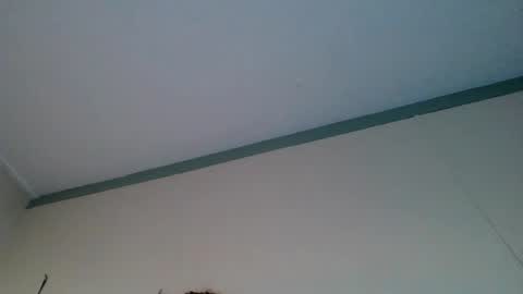 bamacpl80 online show from January 2025 02:46:01 PM