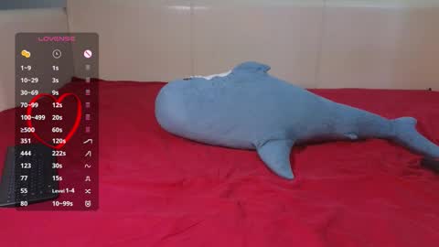 . online show from September 2025 12:38:02 PM