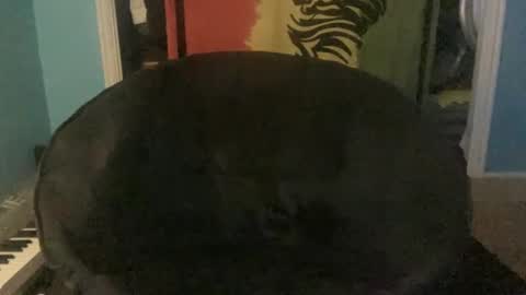 Snapshot of bananaboy420720 chatting on September 2025 06:14:01 AM bananaboy420720 online show from September 2025 06:14:01 AM