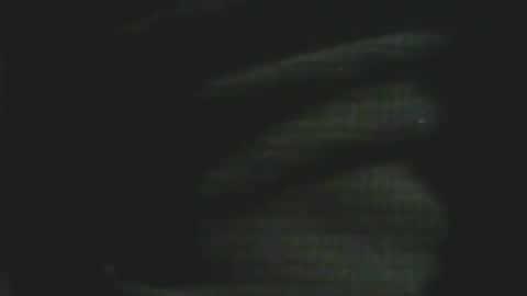 bandapart online show from December 2024 04:59:02 PM