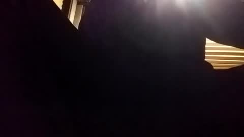 baobabtree8 online show from December 2024 02:10:02 AM