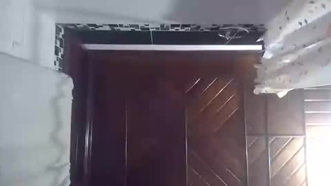 barbi_boobs online show from November 2025 05:39:01 AM