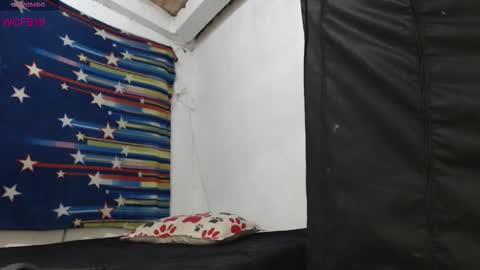 Barbie online show from February 2026 06:55:02 PM